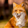 FoxSticYn