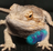 BJragonHere's avatar
