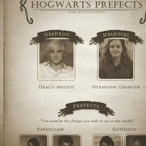Headboy and headgirl of Harry’s batch! | Fandom
