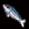 Sardine