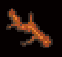 Driftwood of Teak