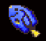 Blue Tang
