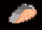 Fillet of Fish
