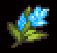 Rain Flower