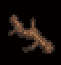 Driftwood of Palm