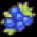 Blueberry