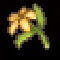Yellowflower.jpg