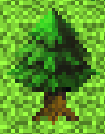 Cedar