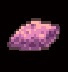 Purple Yam