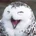 Owl Editor