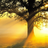 Sunshine234's avatar