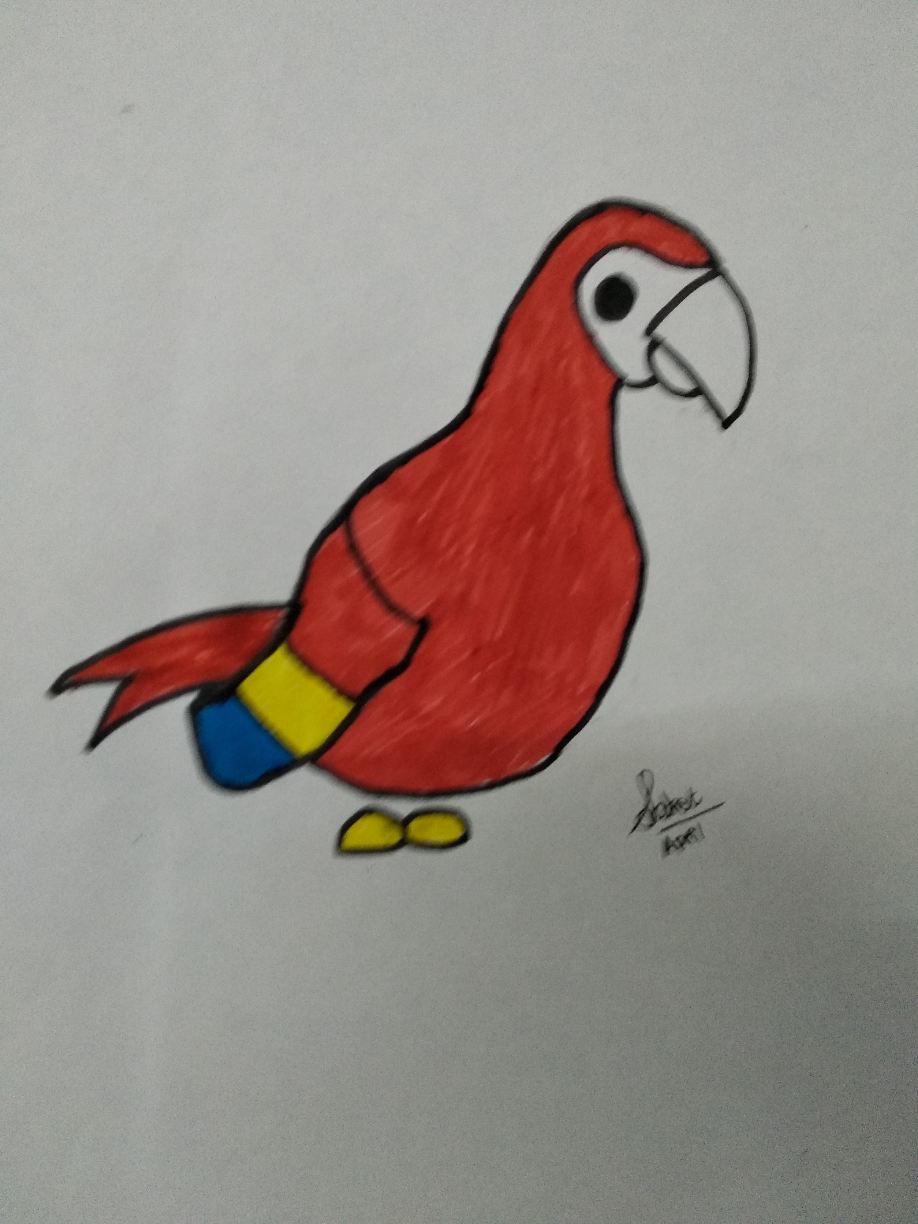 Parrot Adopt Me Drawing