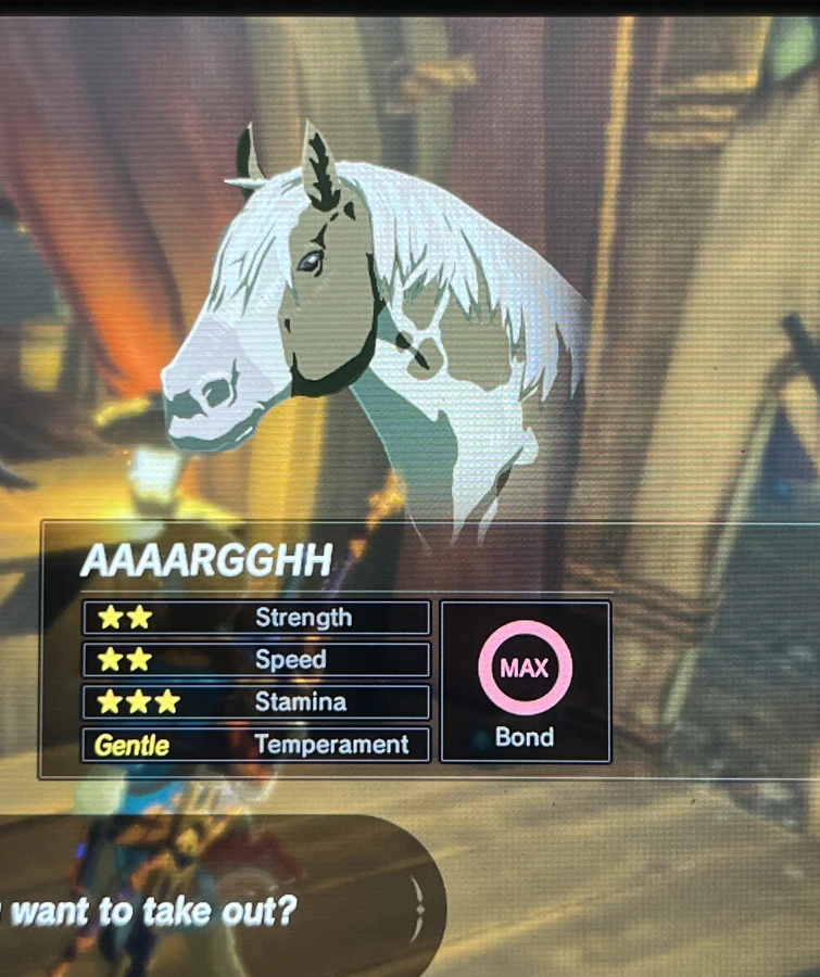 why’d i name my horse this Fandom