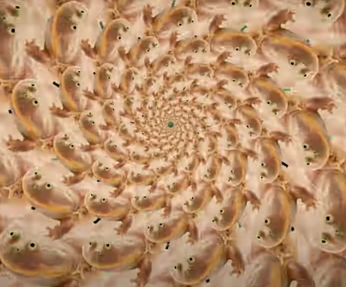 Wednesday frog realm Fandom