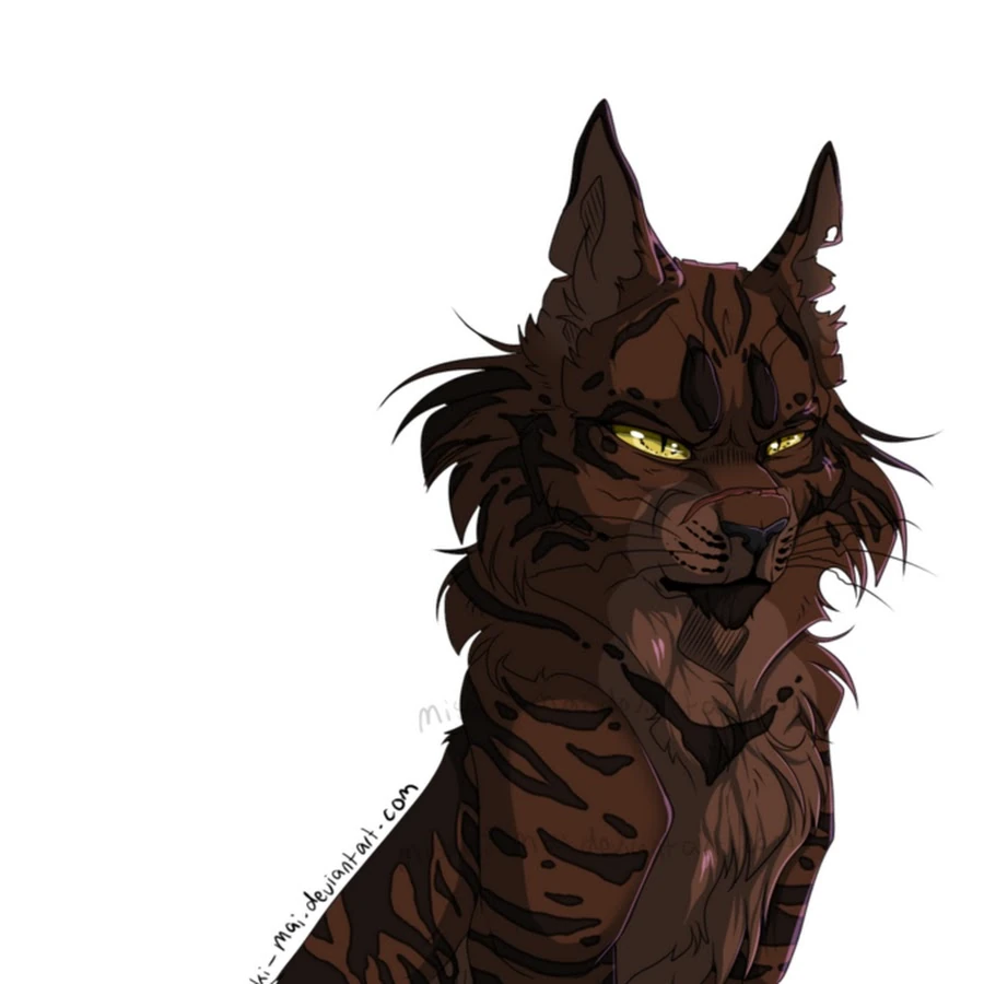 Коты воители звездолом картинки