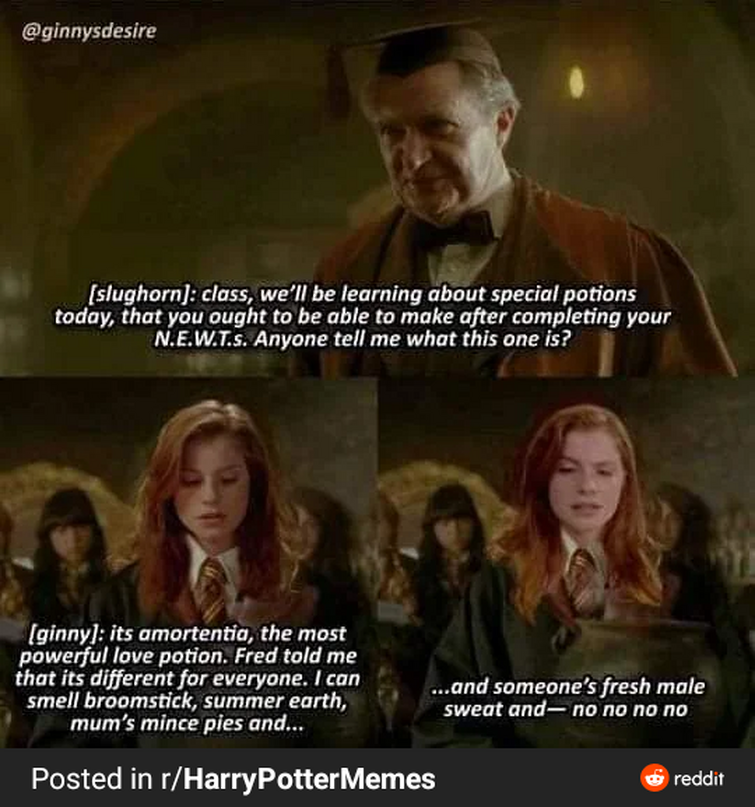 Hermione granger meme : r/harrypotter
