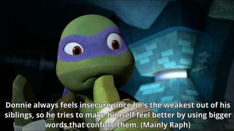 What Your Favourite Teenage Mutant Ninja Turtle Says About You - 2EC