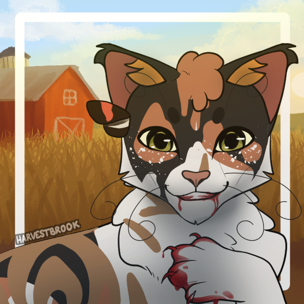 Made my cat in a warrior cat picrew Fandom