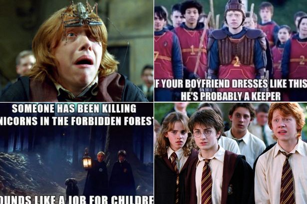 12 Of The Funniest Harry Potter Pictures  Harry potter memes, Harry potter  funny, Harry potter memes hilarious