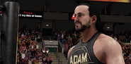 WWE Carnage No (22)