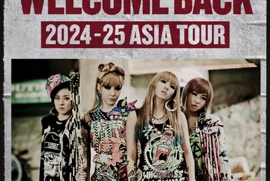 2NE1 2012 1st Global Tour - NEW EVOLUTION in Japan (2枚組DVD) 2NE1 2012 1st Global Tour NEW EVOLUTION in Japan Blu-ray