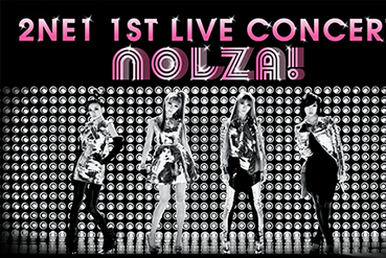 2NE1/1ST LIVE CONCERT'NOLZA!'LIVE IN SE… 2NE1 - 1ST LIVE CONCERT [NOLZA] IN SEOUL (1080p UPSCALE