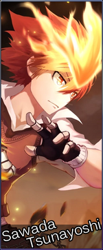 Cha142 Sawada Tsunayoshi.png