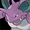 Icon Nidoking