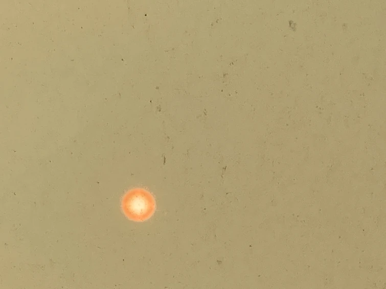 The sky rn in Nj omg Fandom