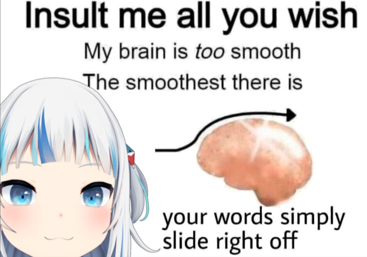 Insult Me All You Wish My Brain Is Too Smooth
