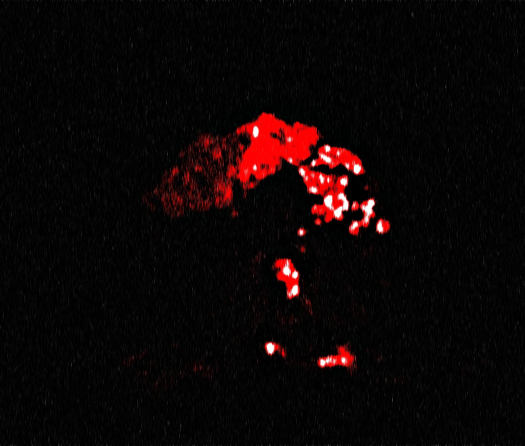 Remake of Glitchy Blurry Mess Phase (Not The CJ Planets) | Fandom