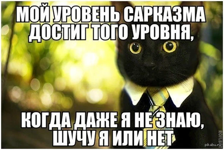 Не знаю. Ты их незнаешь. Не знаю. Сам не знаю. Грустный огурец.