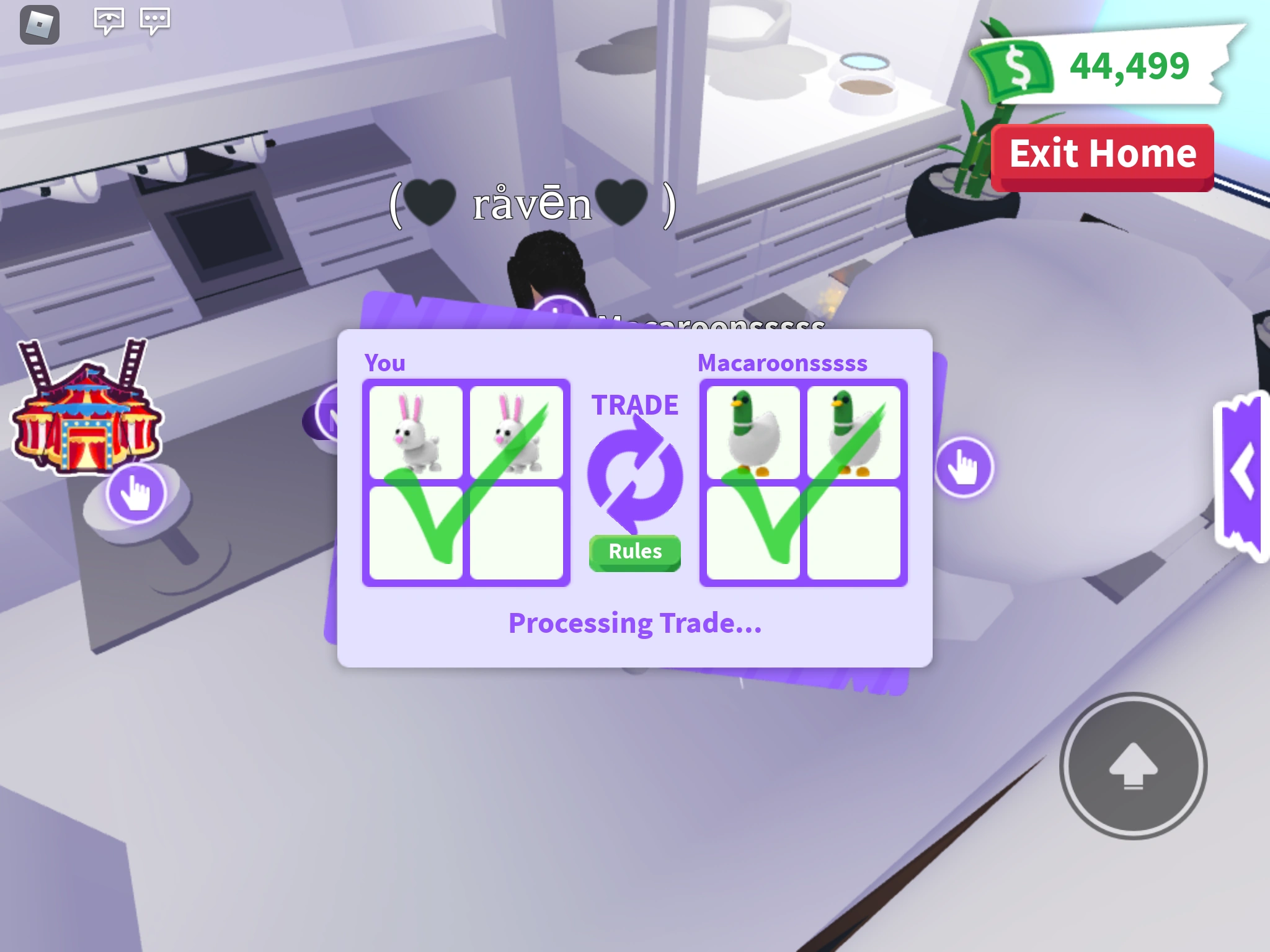 Discuss Everything About Adopt Me! Wiki Fandom