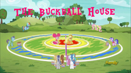 The Buckball House