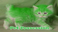 Pet Possession