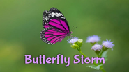 Butterfly Storm