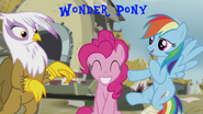 Wonder Pony