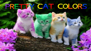 Pretty Cat Colors