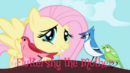 Fluttershy the Mother