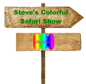 Steve's Colorful Safari.png