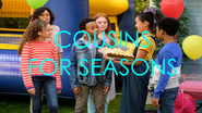 Cousins for Seasons