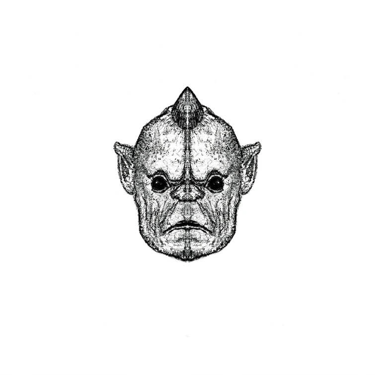 Star Wars Species Cards Fandom