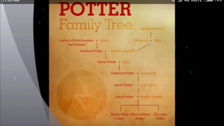 Ever known about Harry's ancestors?