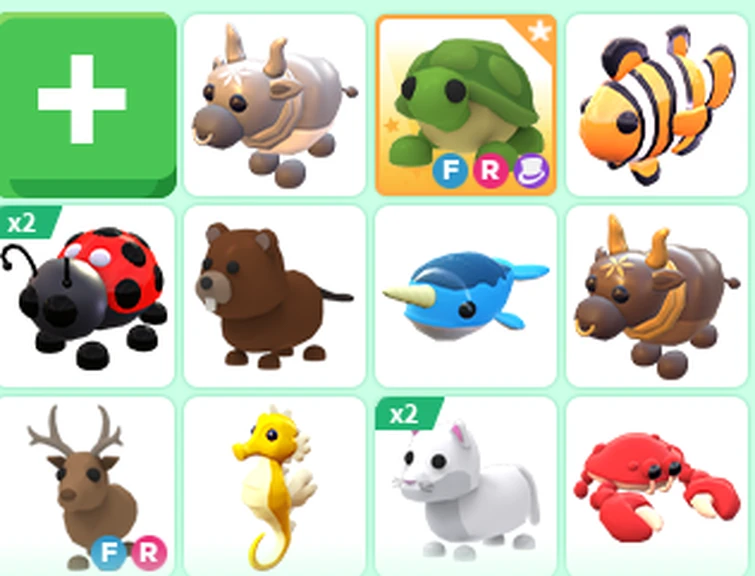 How much is my Neon Fly Ride Turtle worth Fandom