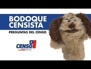 Censo 2017 - Bodoque censista - Preguntas del censo
