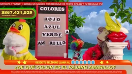 Programa de la trasnoche