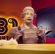 Tulio hermoso.jpg (67 kB) Tulio hermoso