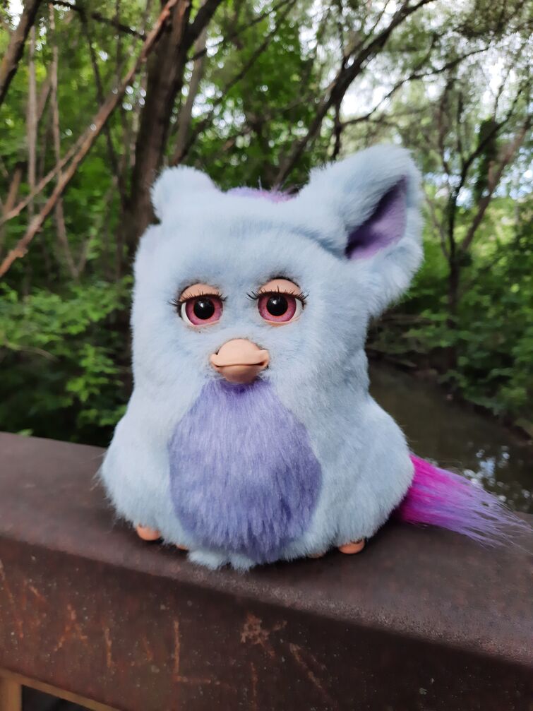 Fandom Image