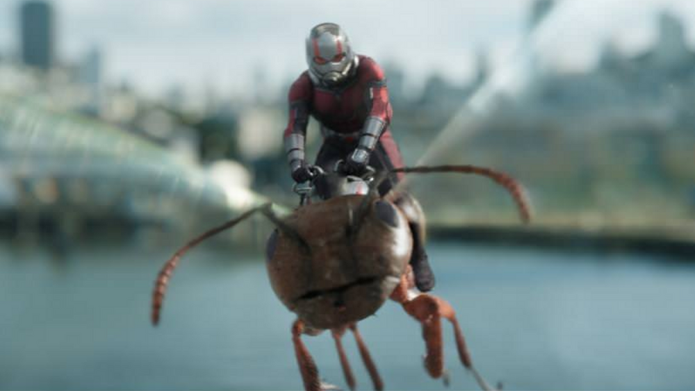 Watching 'Ant-Man and the Wasp: Quantumania' is a chore that everyone must  complete – The Pace Press