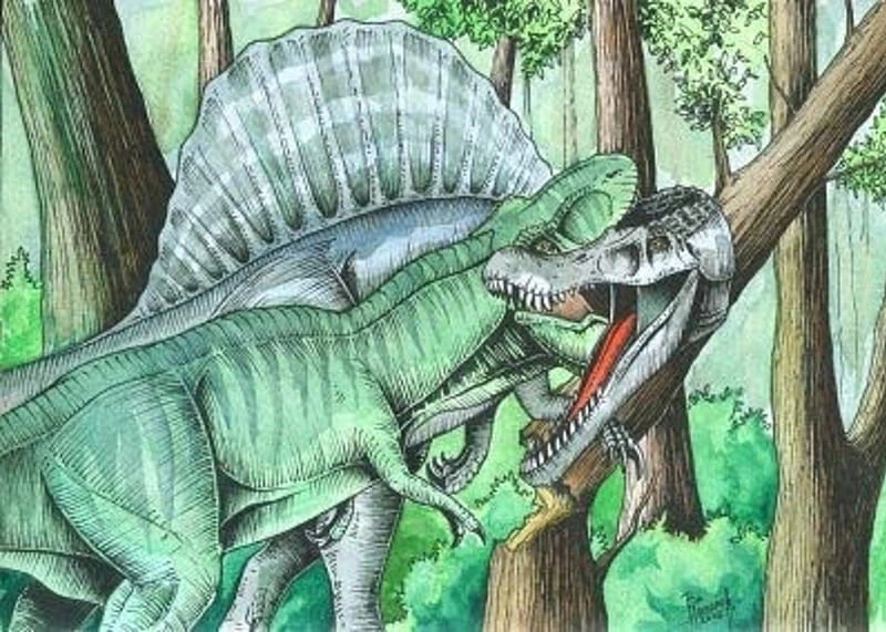 Завры в пятёрочке. Завры книга. Пятерочка собери коллекцию. Читать академия завр. Золотой завр из пятерочки.